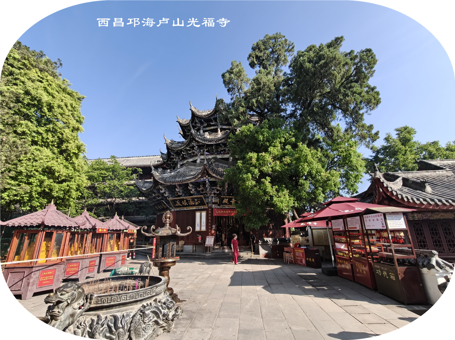 IMG20250419092450.jpg