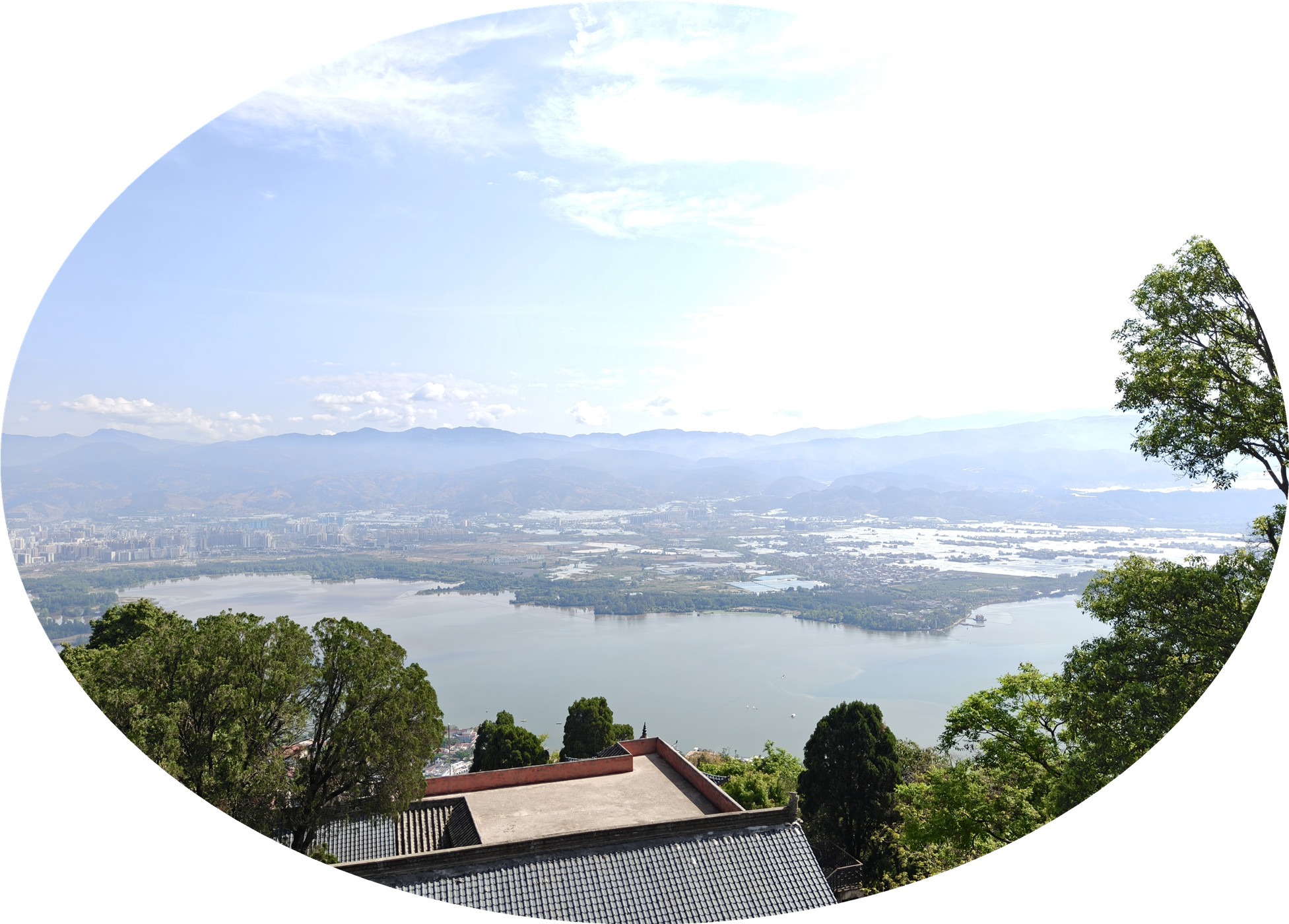 IMG20250419101336.jpg