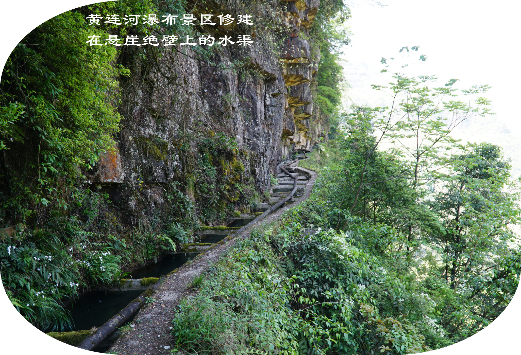 DSC07052.jpg