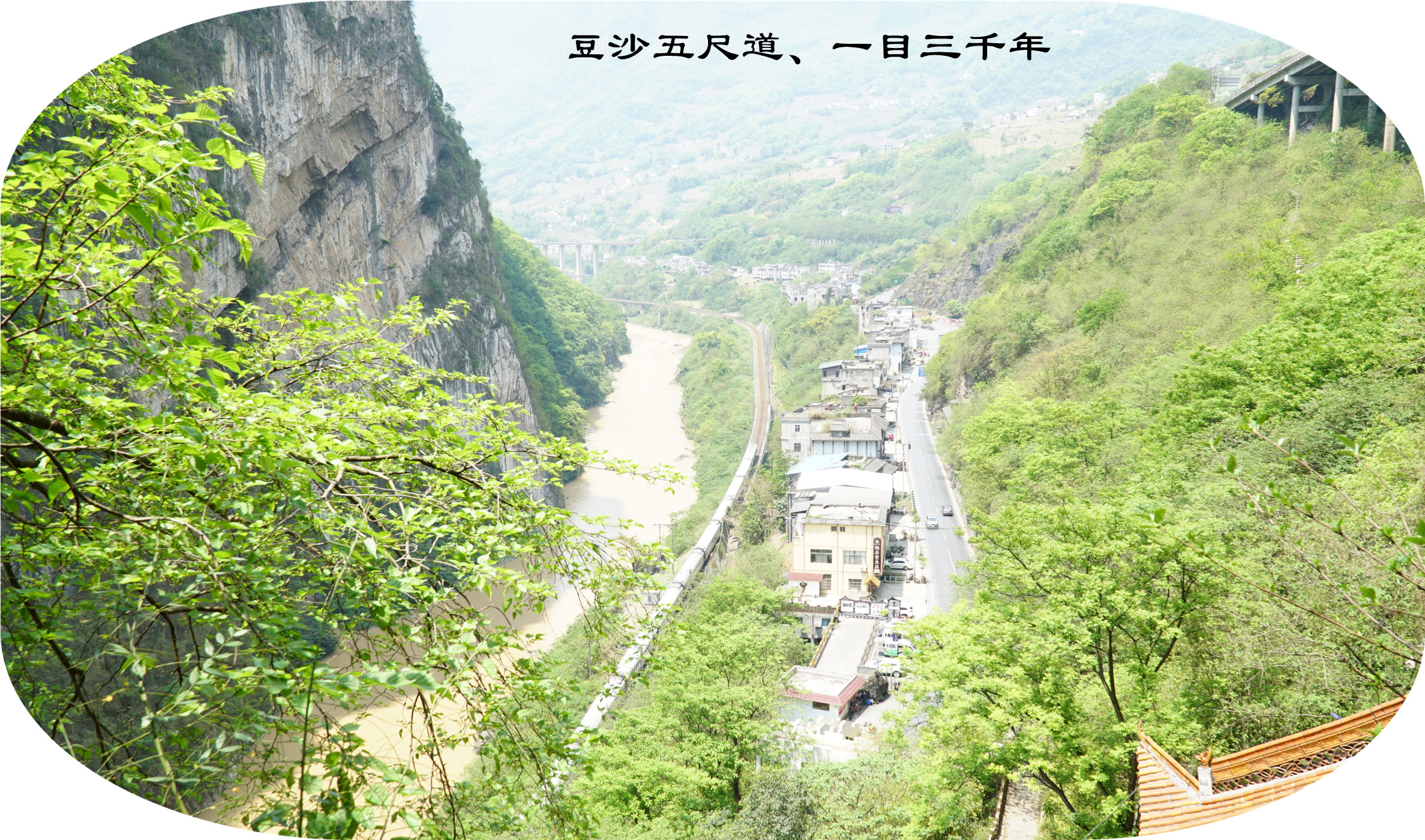 DSC07123.jpg