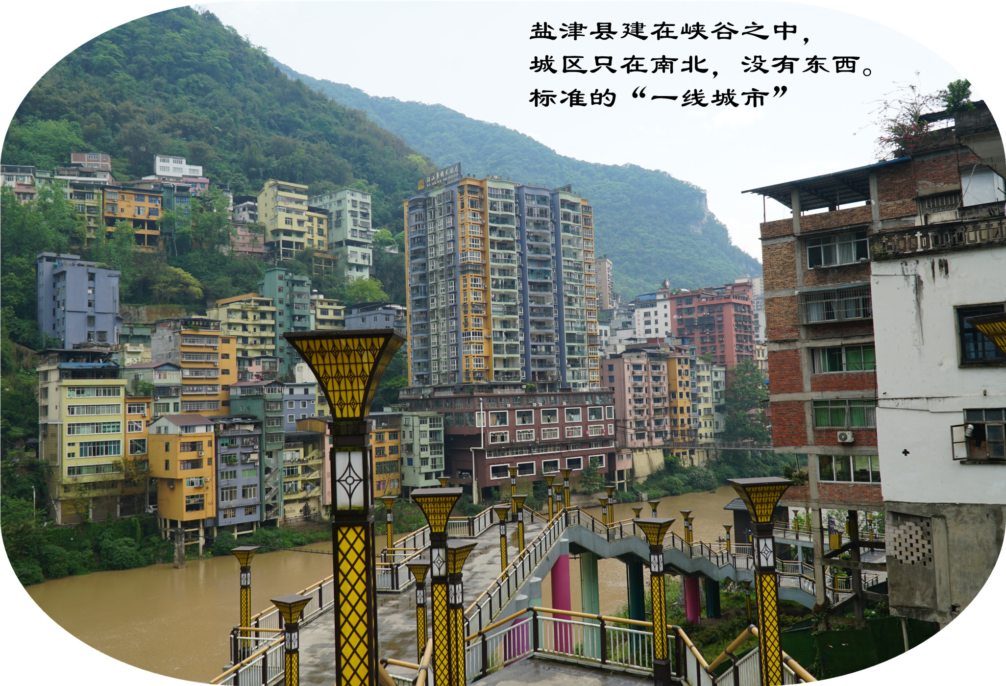 DSC07137.jpg