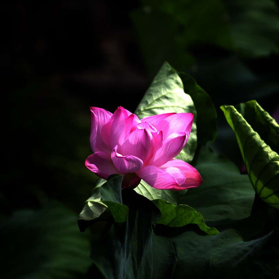 20250620102437front2_0_94310_FtbV0i2zH-5EpvF6LvjXre6LZpUZ.jpg