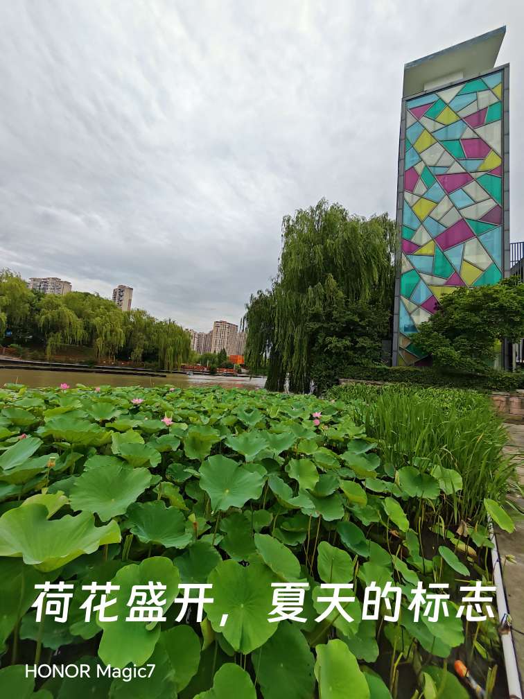 20250620132251front2_0_516385_FtVB7EqwMCevFXplHAP1Abvy_uQf.jpg