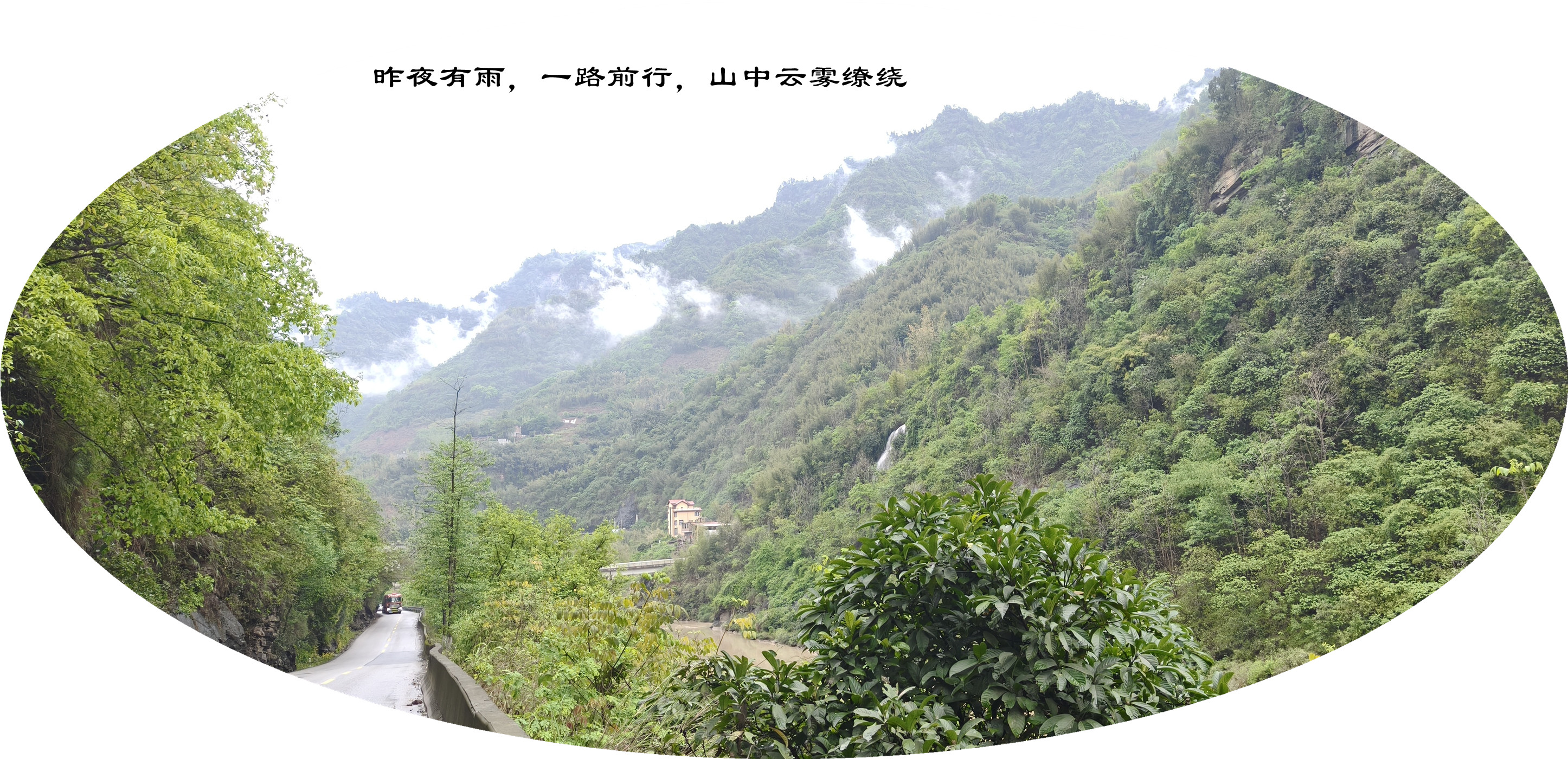 IMG20250422082657.jpg