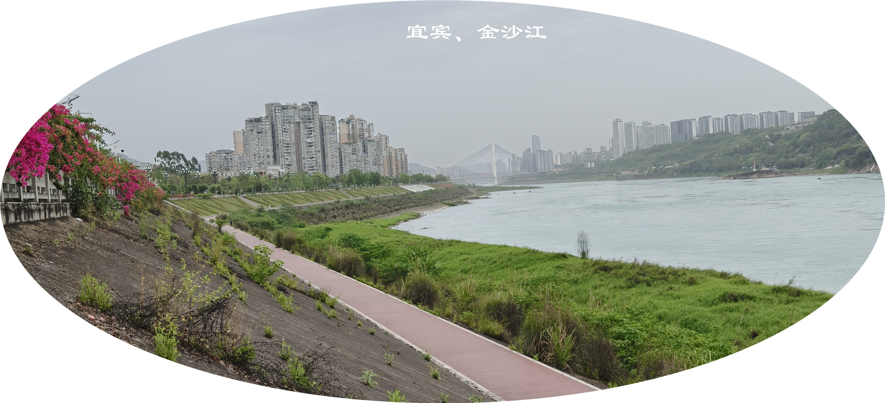 IMG20250422174814.jpg