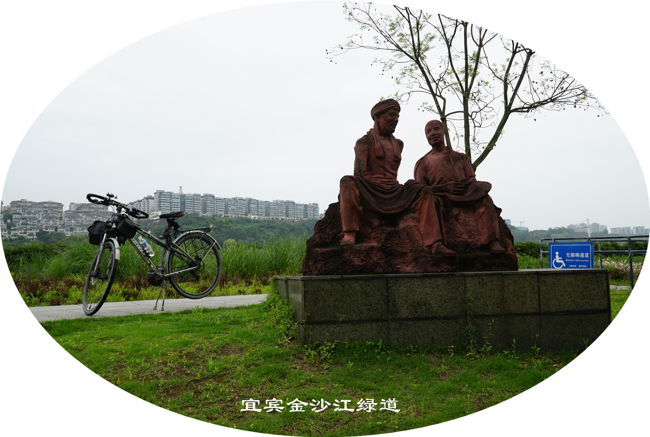 DSC07142.jpg