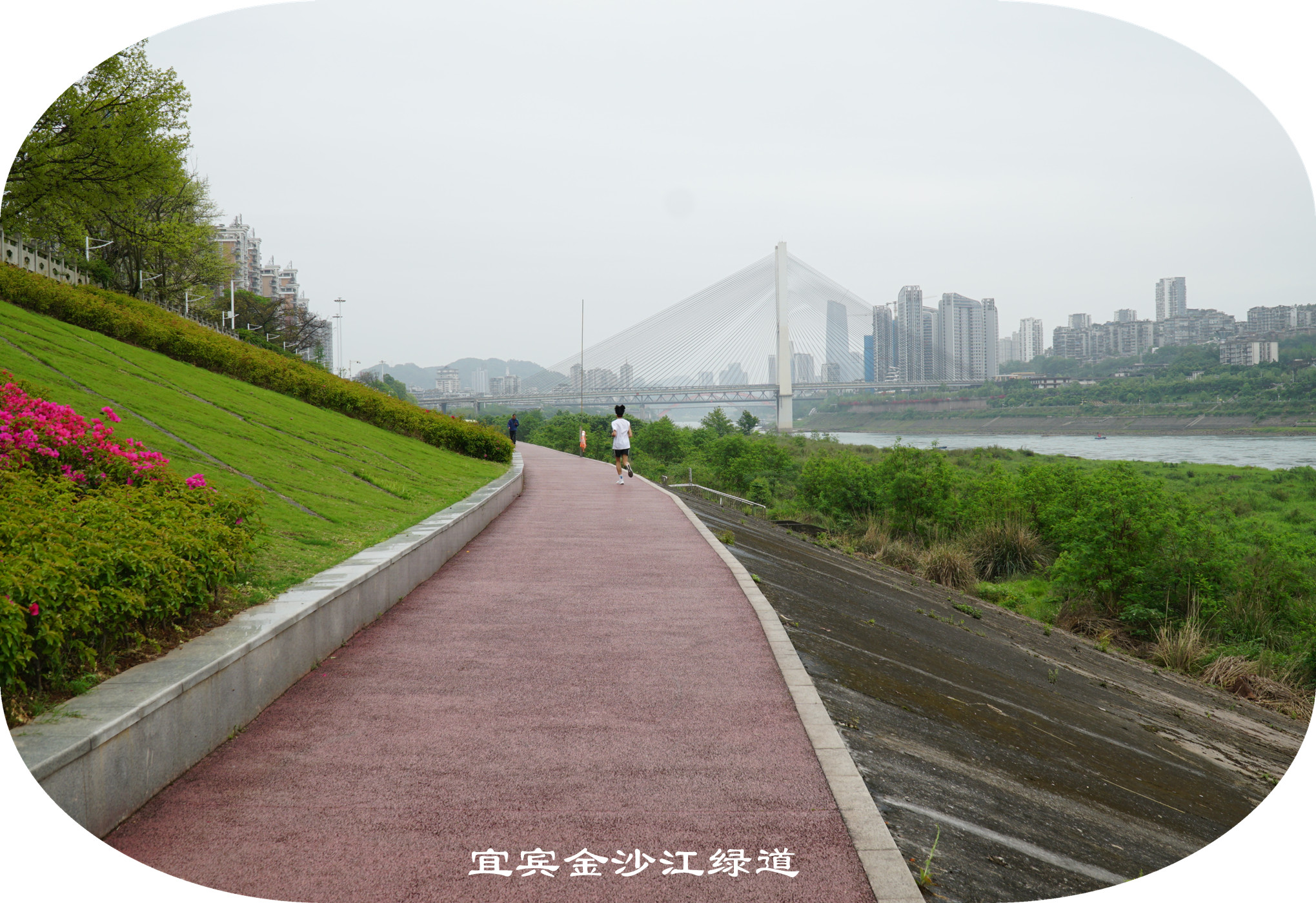 DSC07144.jpg