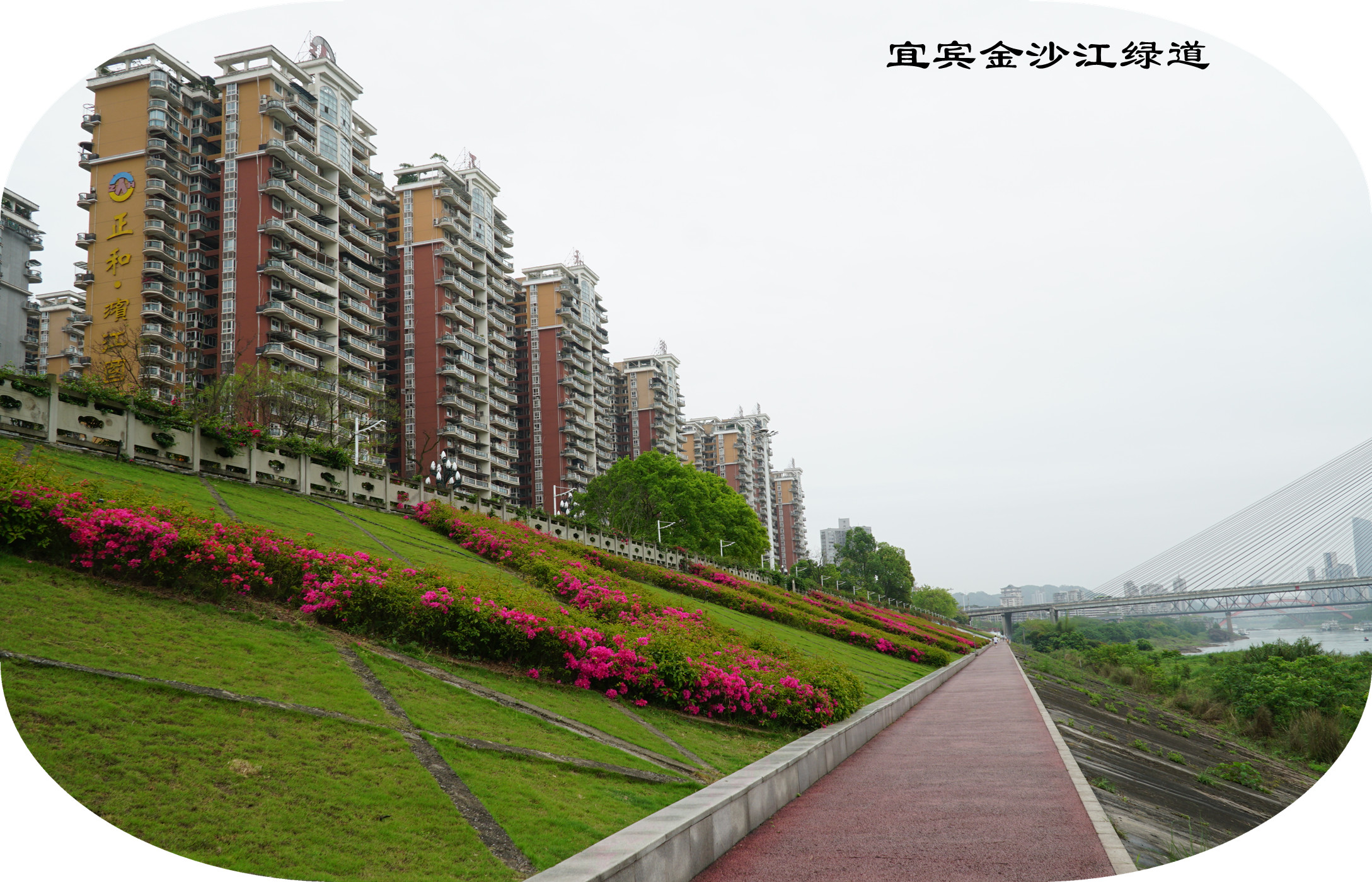 DSC07145.jpg