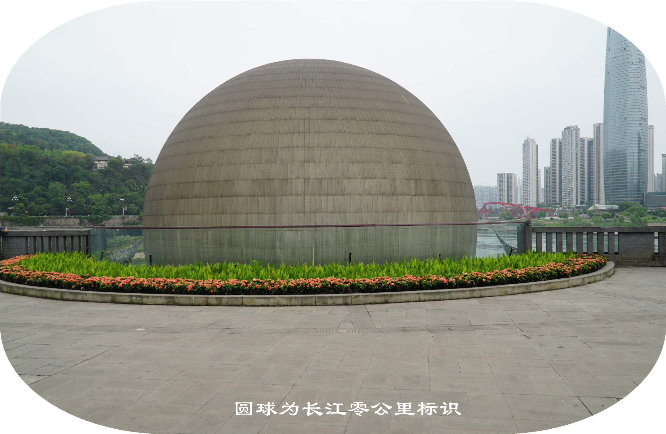 DSC07156.jpg