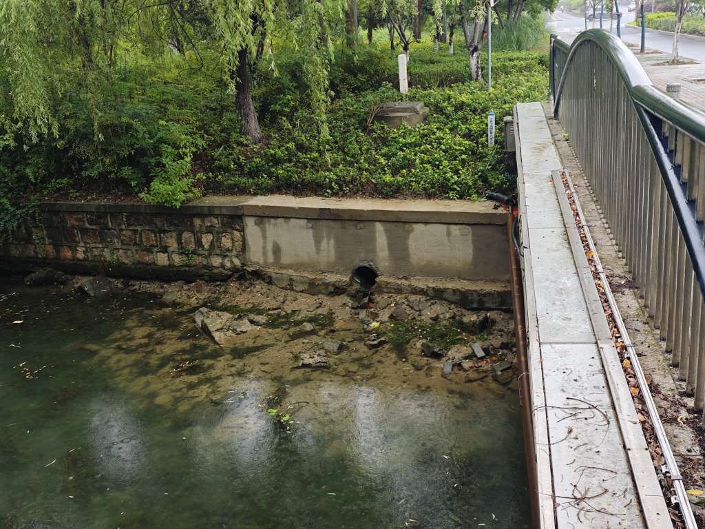 20250622135948front2_0_494131_FjoyjG1VO4eMLDt0epp1d5K_unLn.jpg