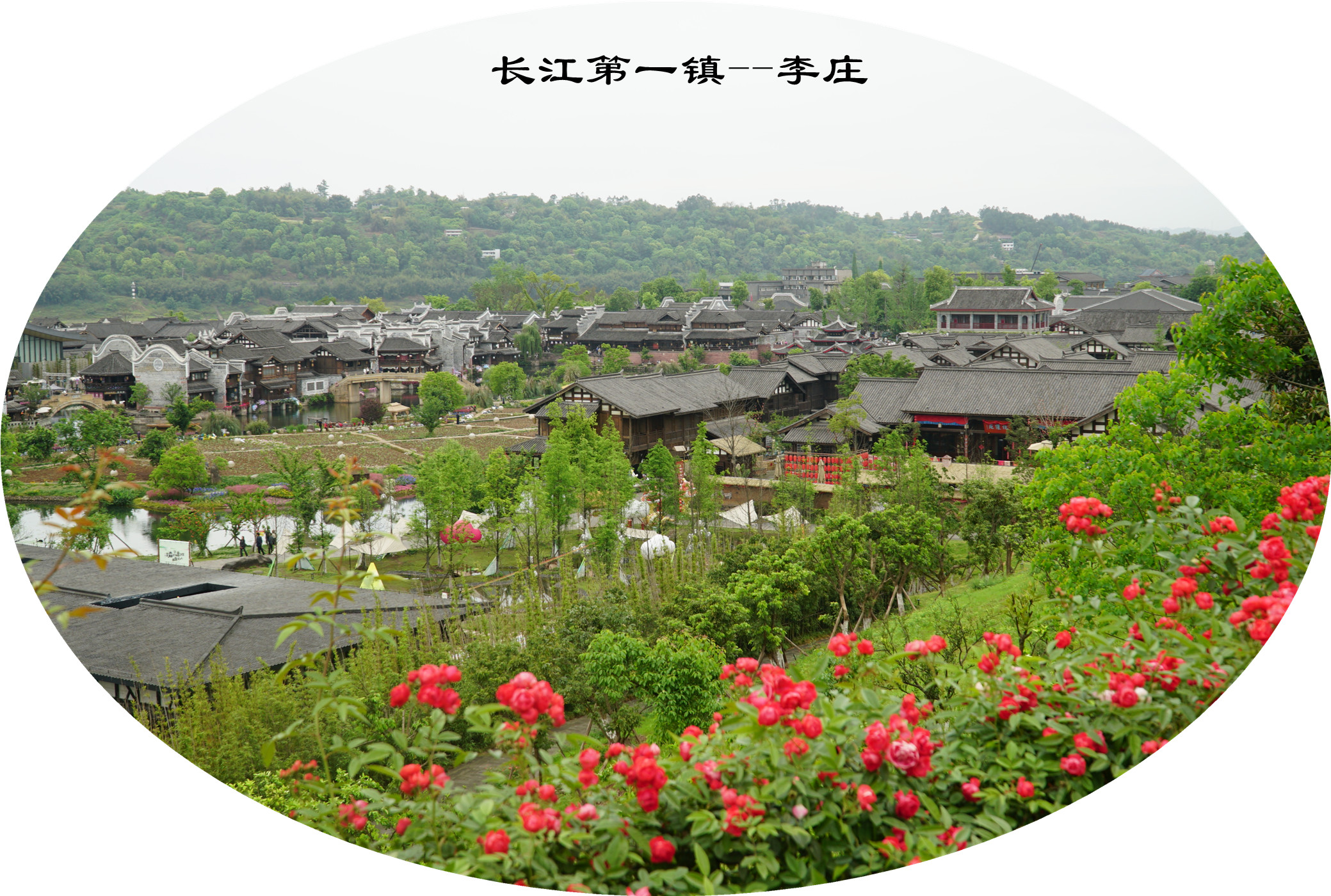 DSC07215.jpg