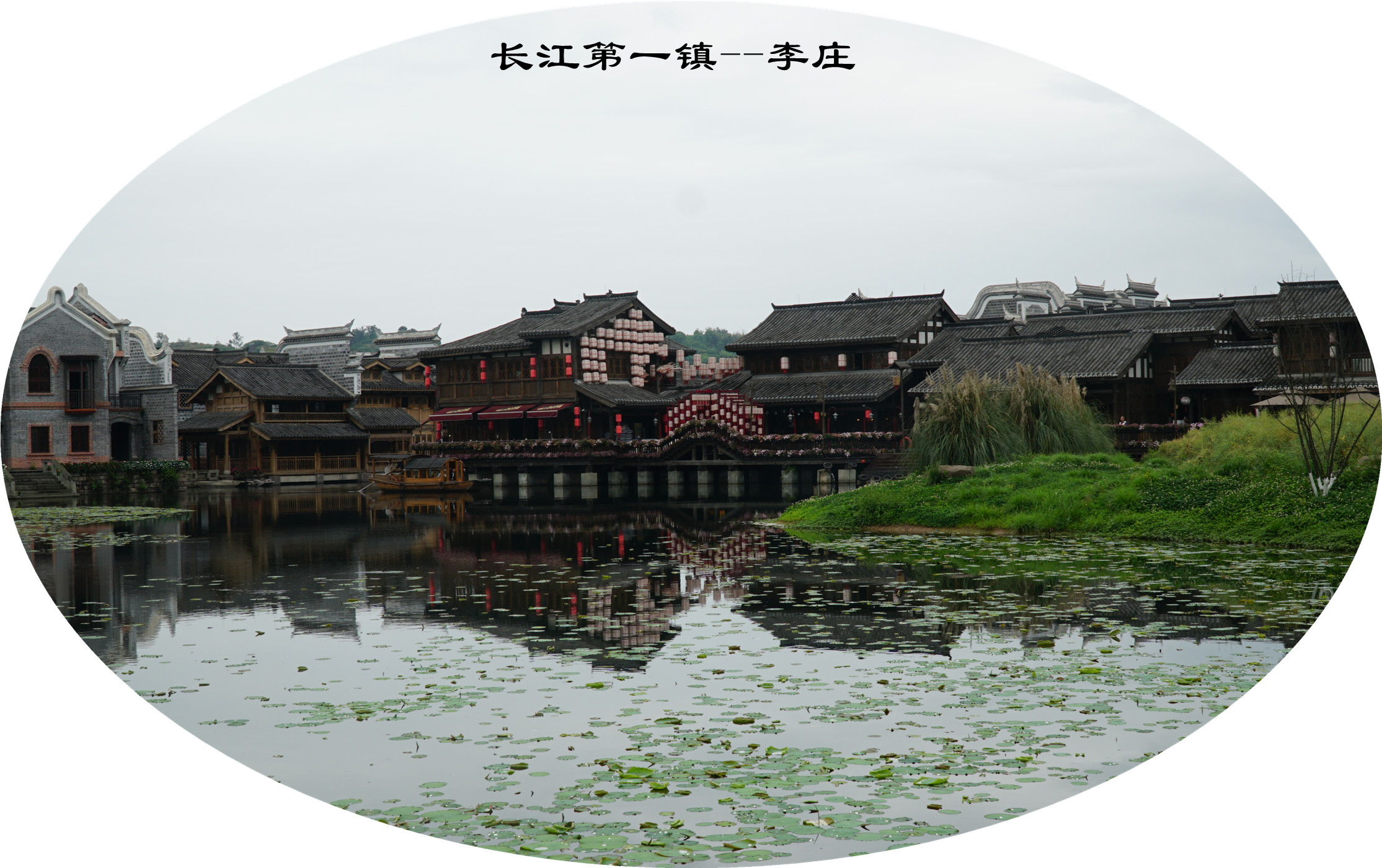 DSC07245.jpg