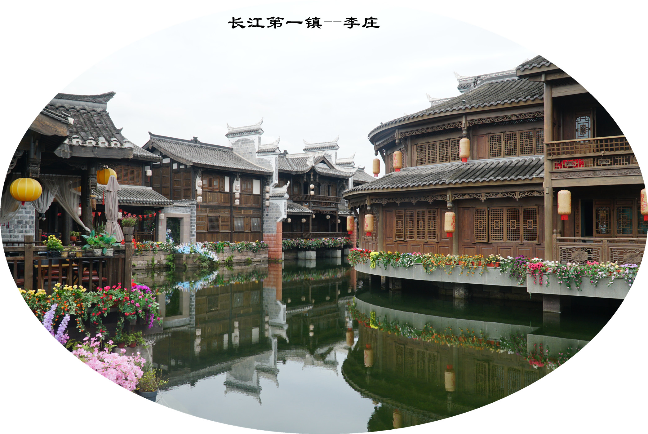 DSC07270.jpg