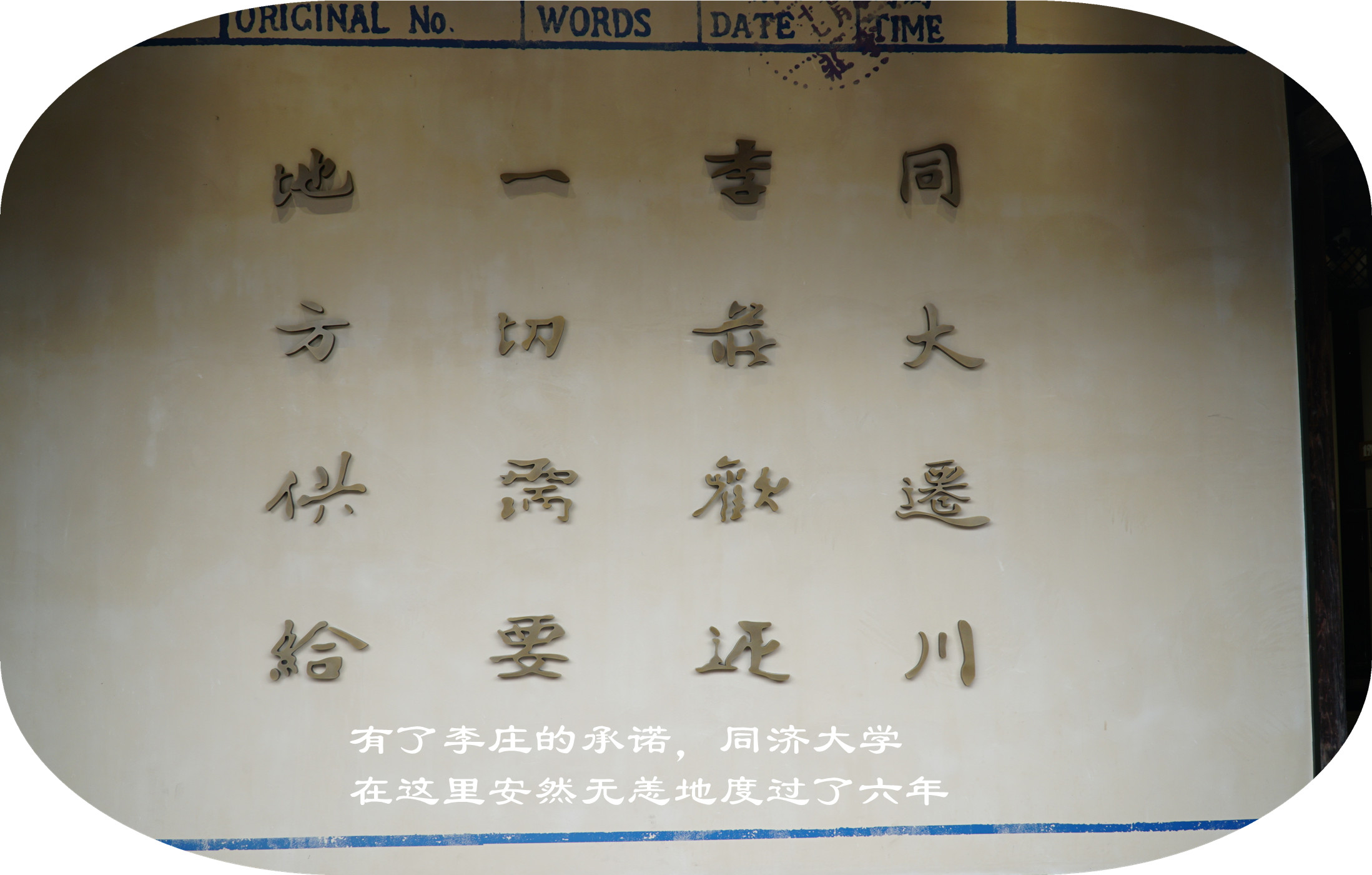 DSC07294.jpg