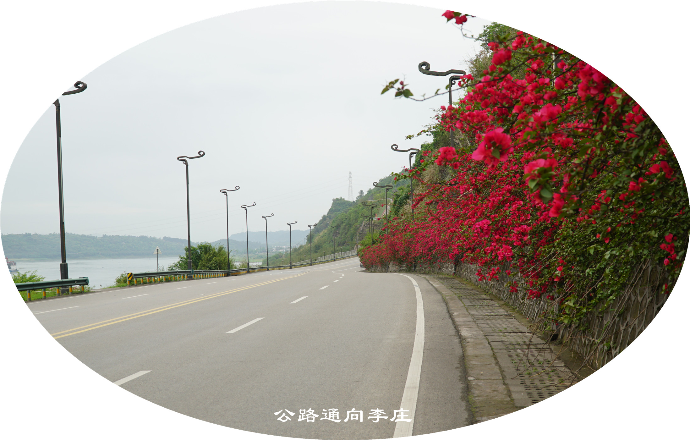DSC07212.jpg
