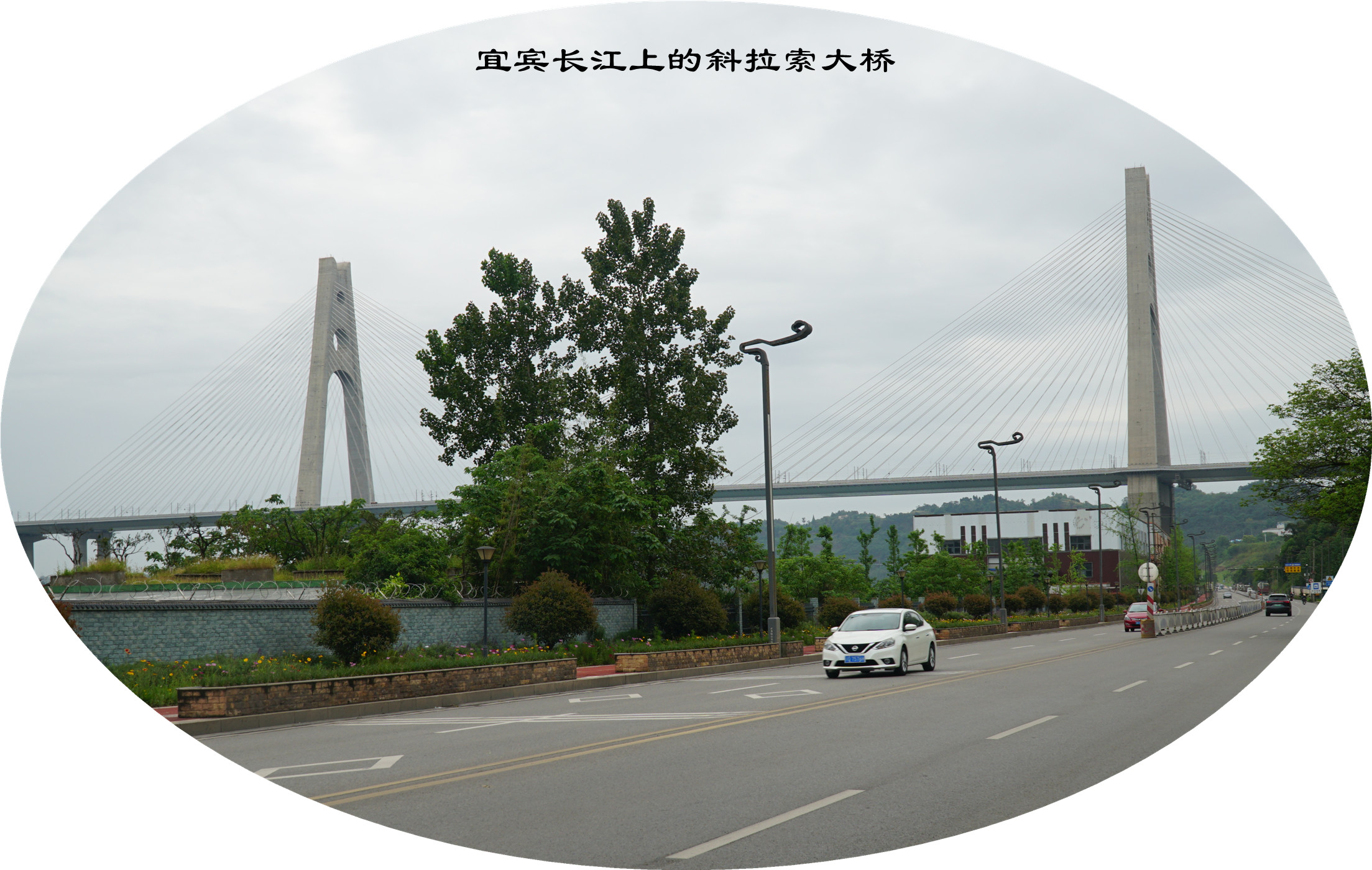 DSC07210.jpg