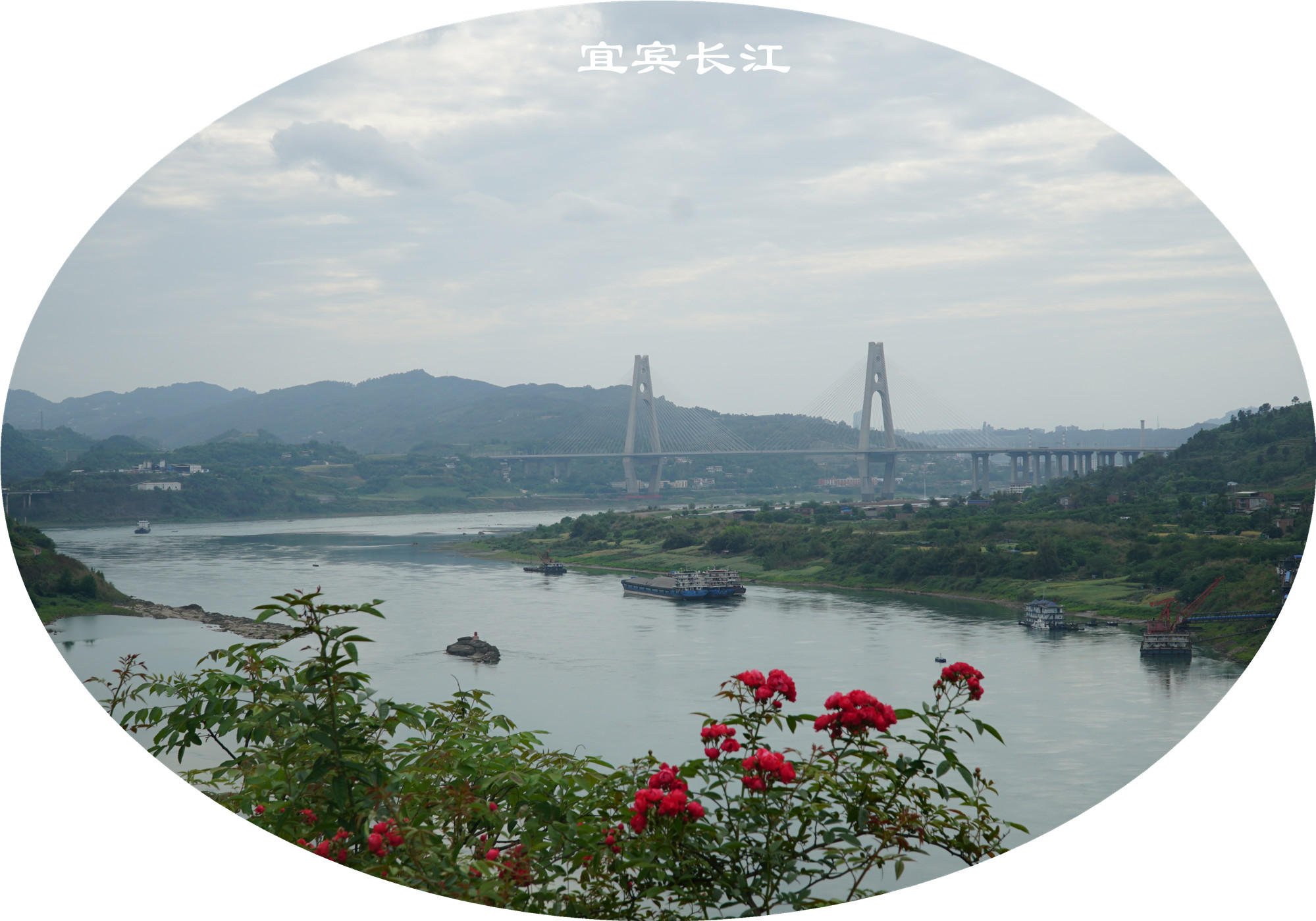DSC07312.jpg