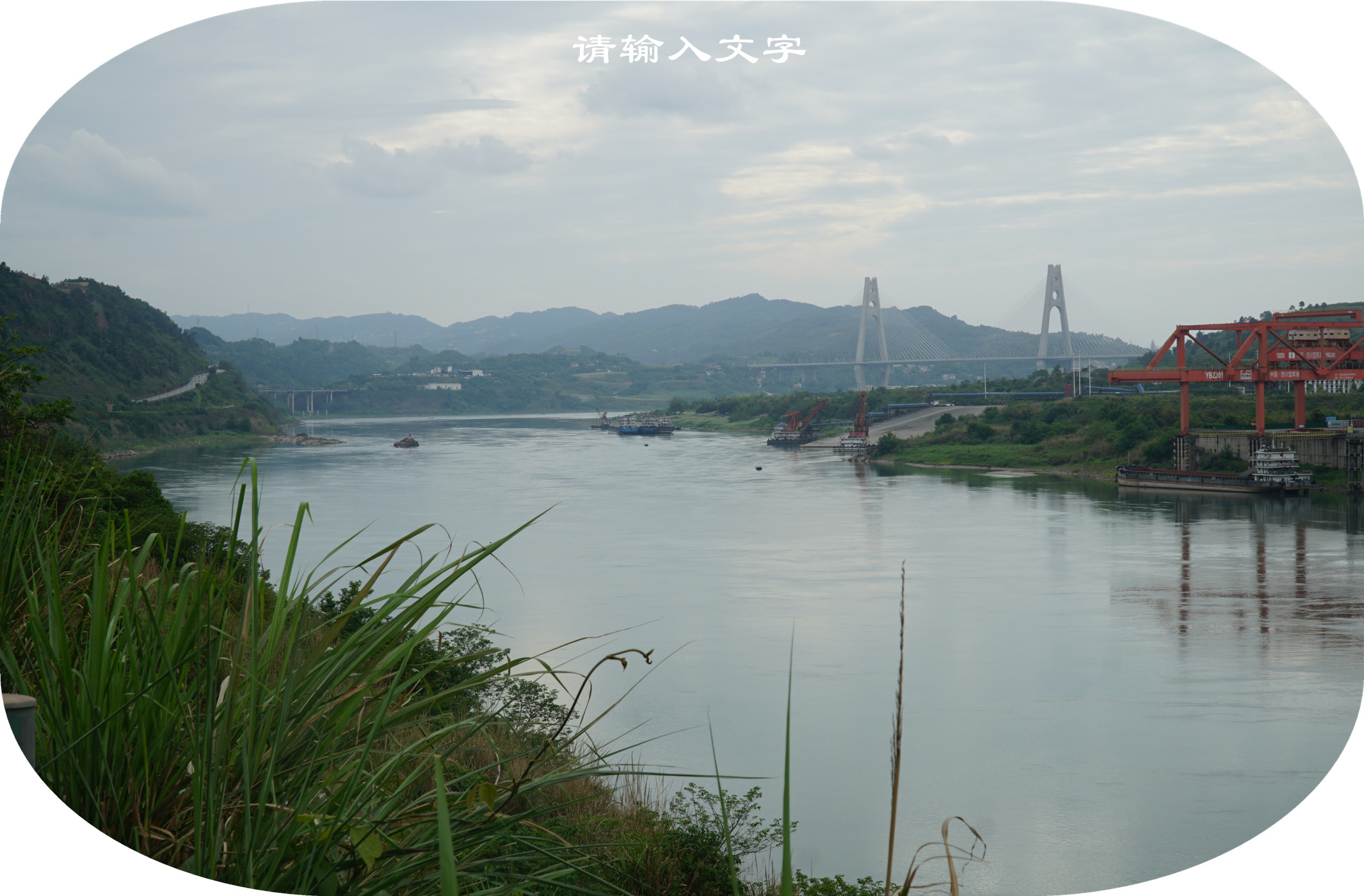 DSC07311.jpg