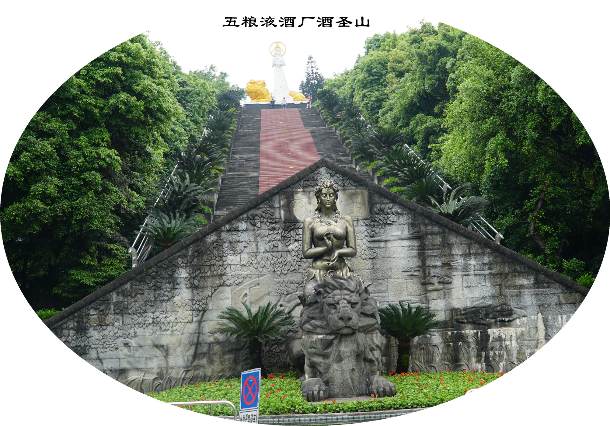 DSC07343.jpg