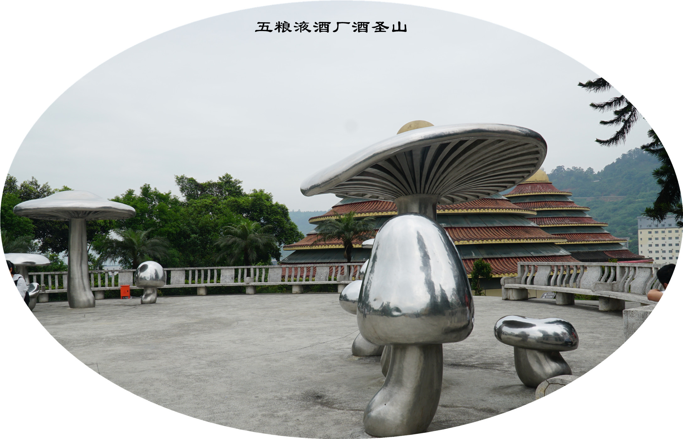 DSC07349.jpg