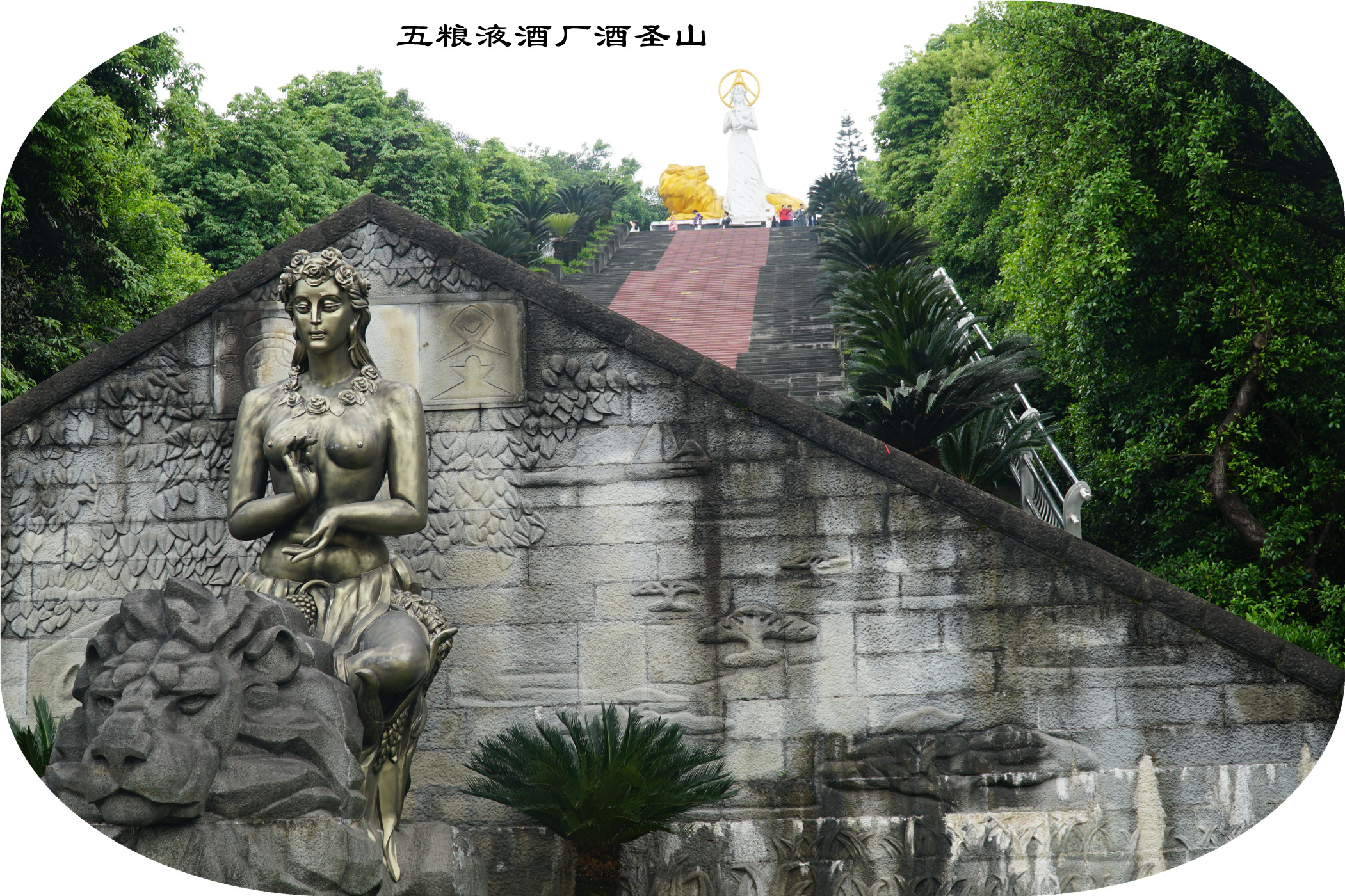 DSC07352.jpg