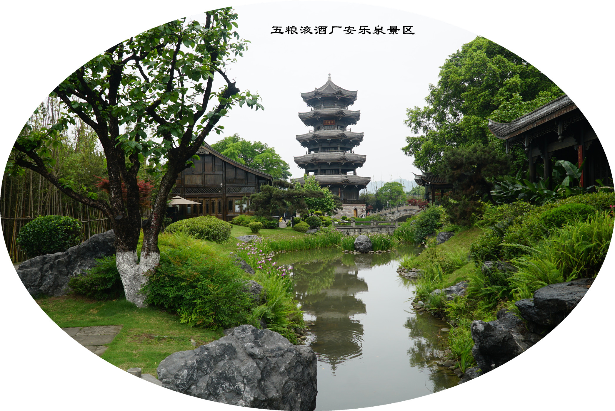 DSC07356.jpg