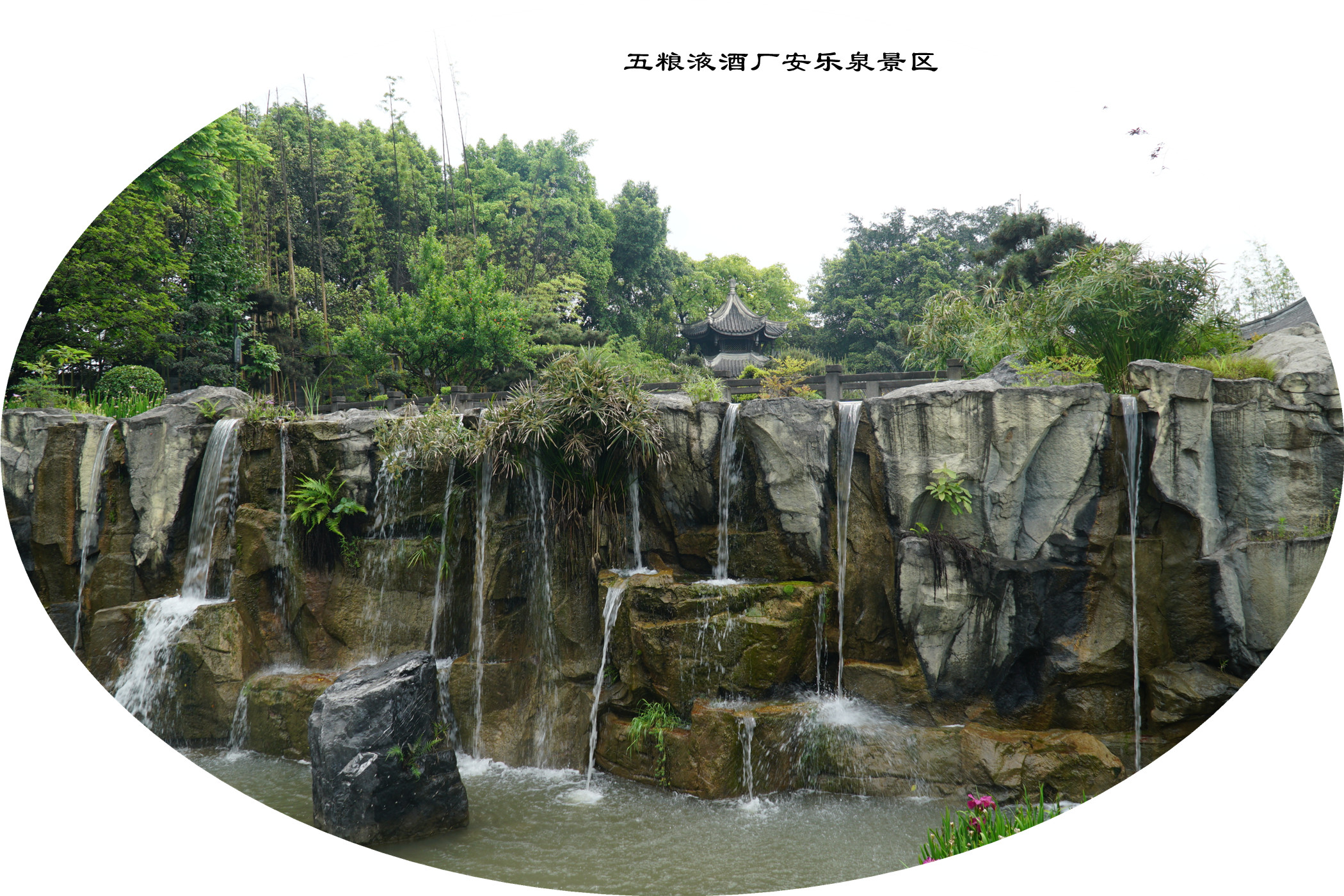 DSC07359.jpg