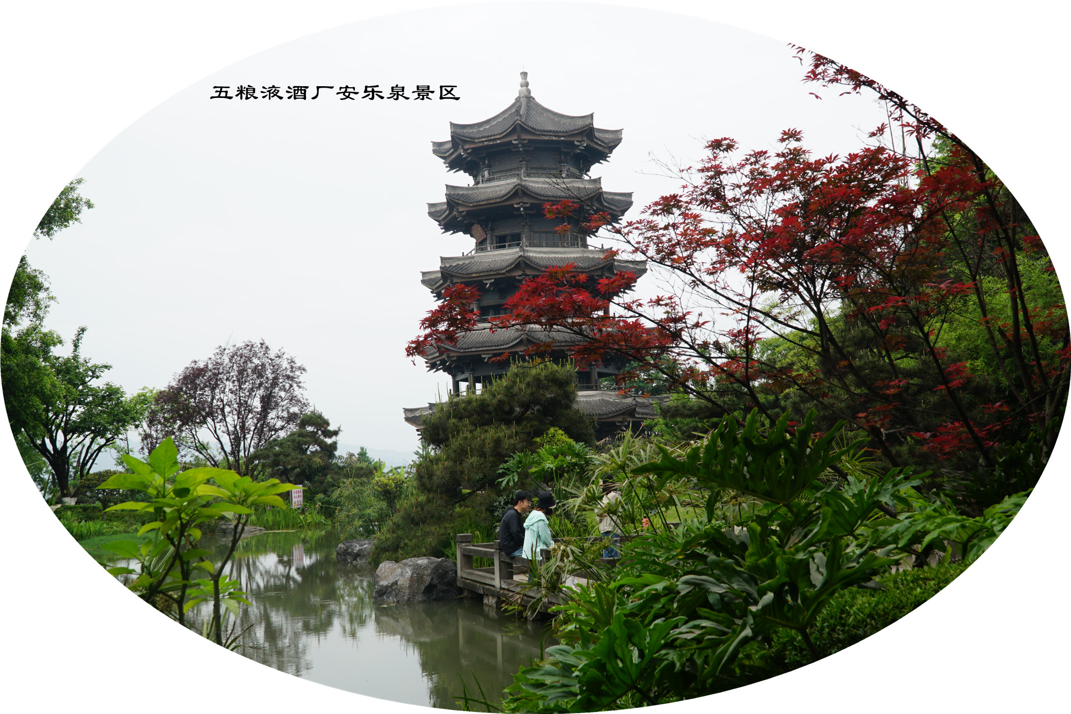 DSC07364.jpg