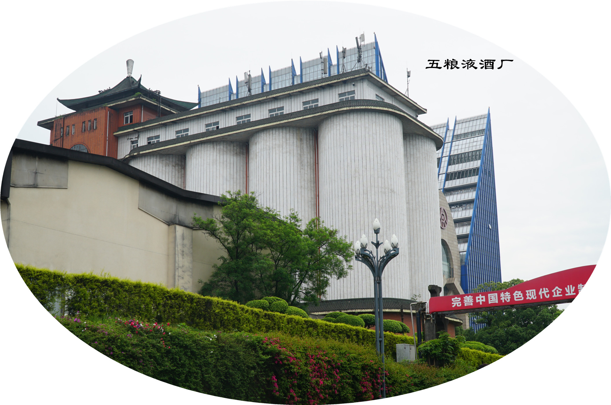 DSC07365.jpg