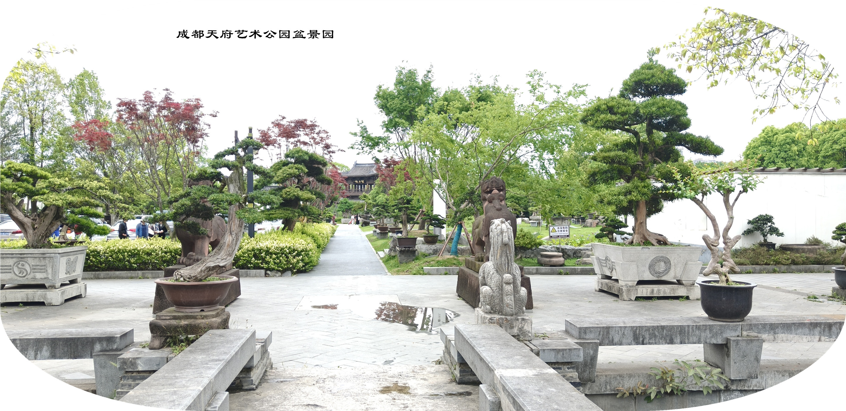 IMG20250426130457.jpg
