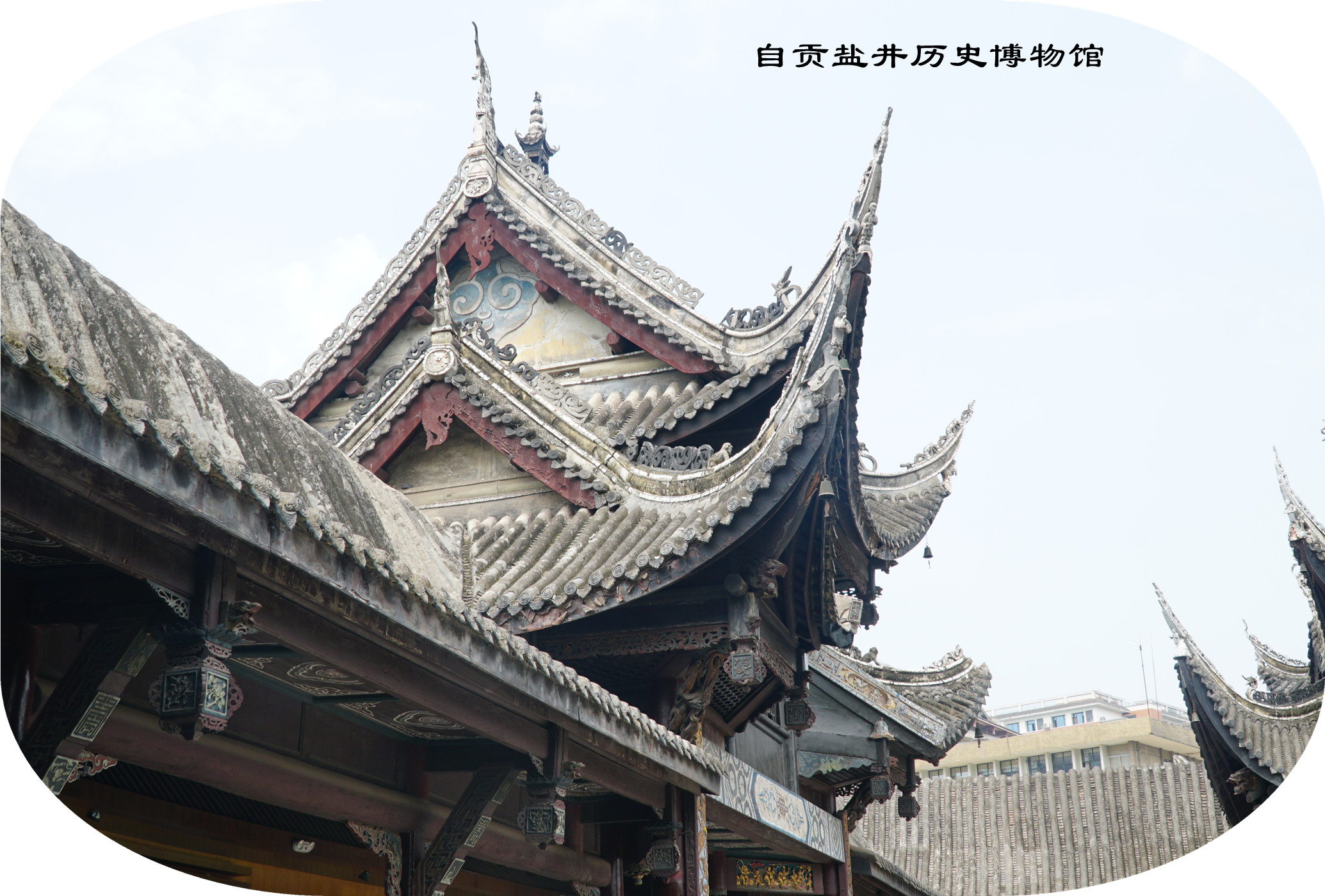 DSC07401.jpg
