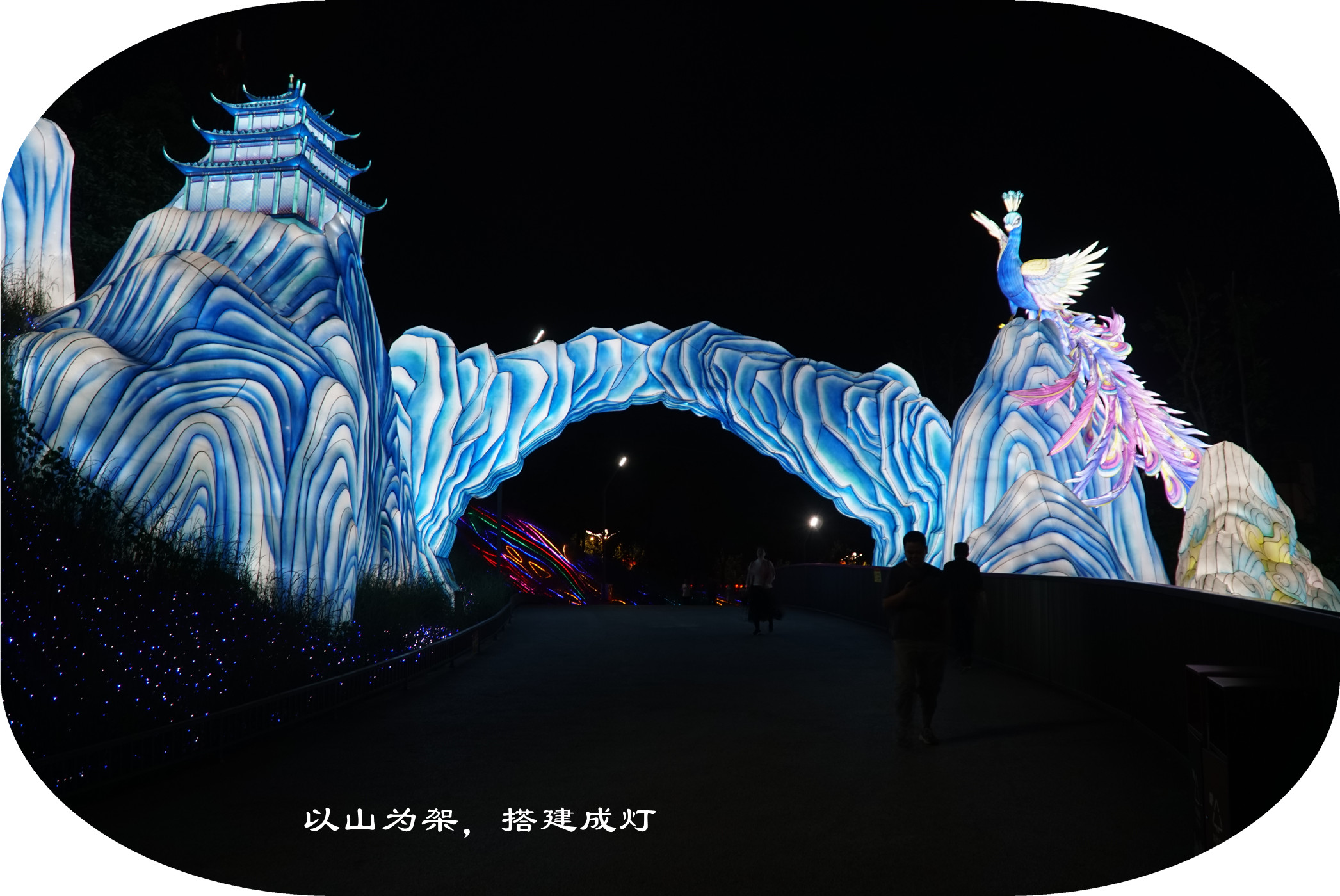 DSC07461.jpg