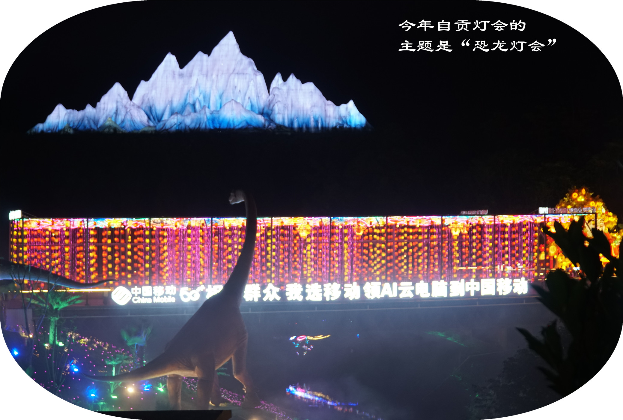 DSC07482.jpg