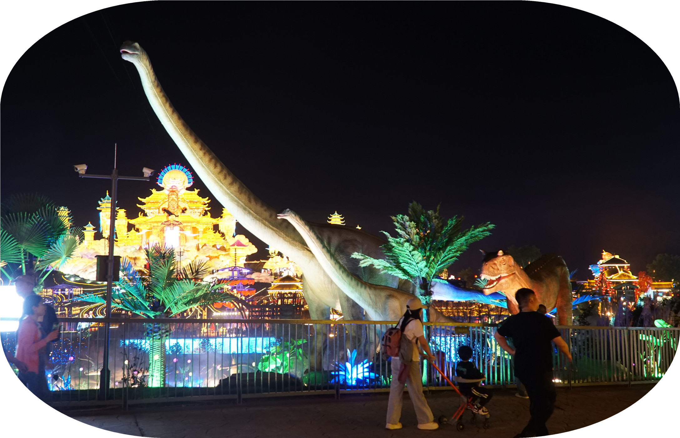 DSC07485.jpg
