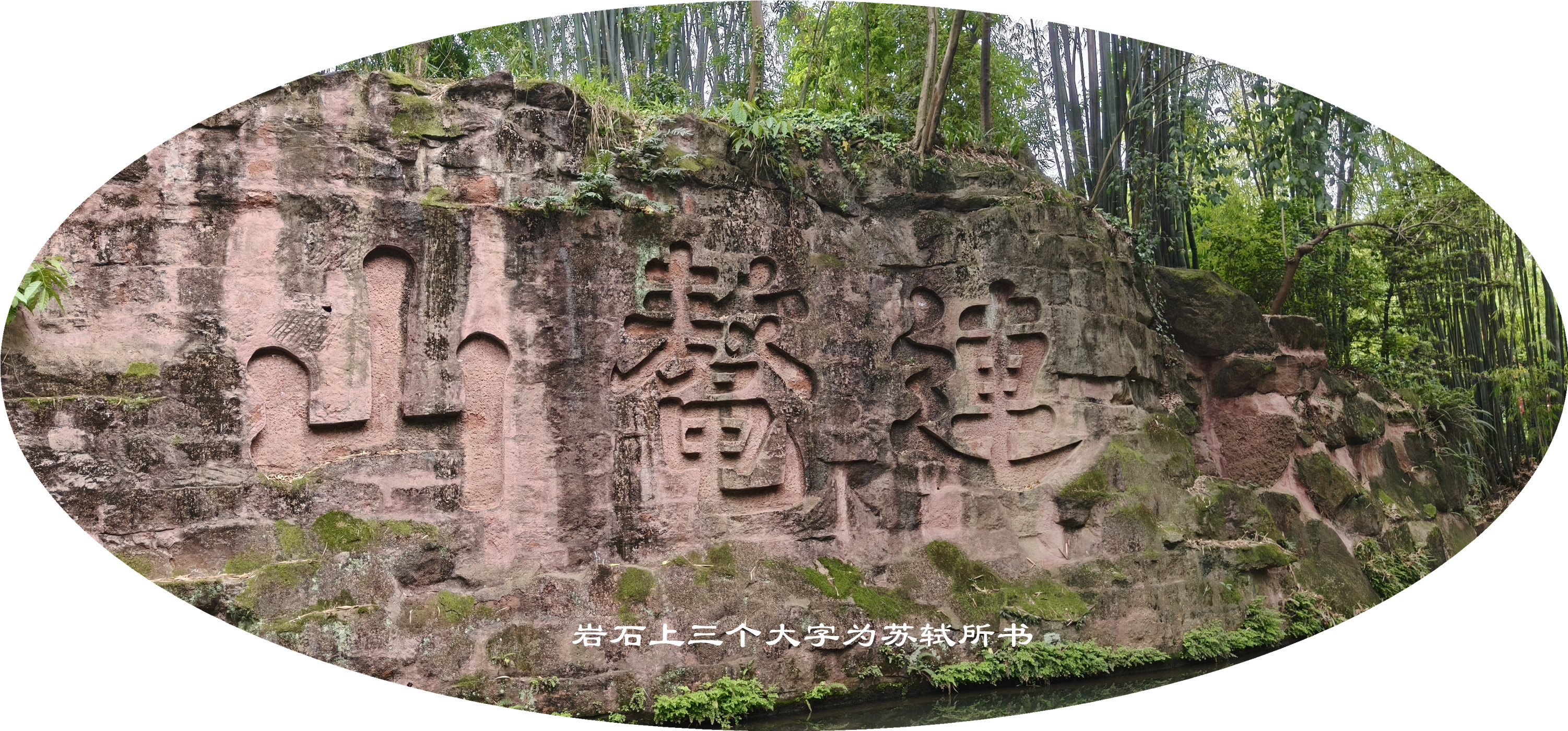 IMG20250428155129.jpg