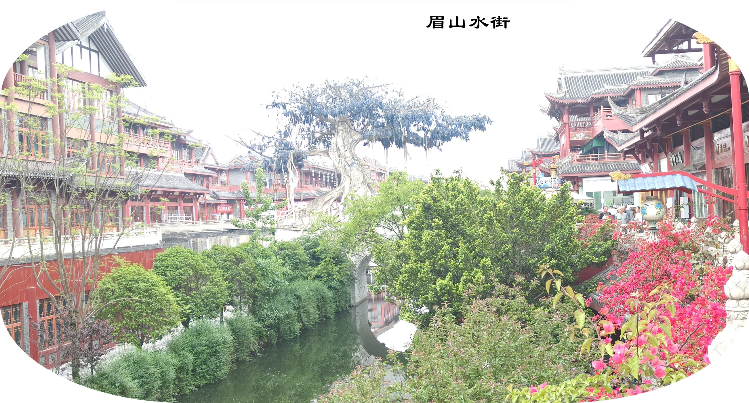 IMG20250428181115.jpg