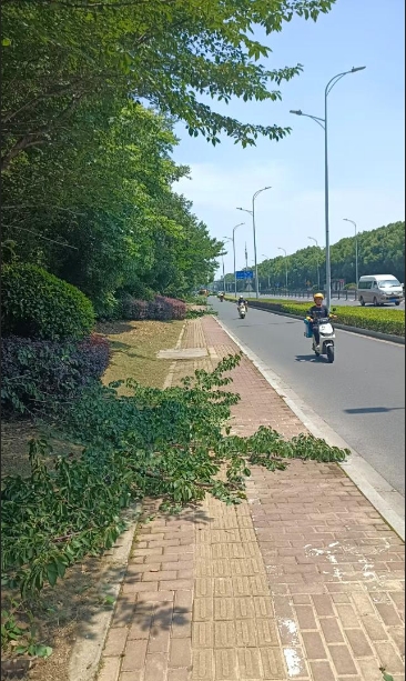 微信截图_20250627093005.png