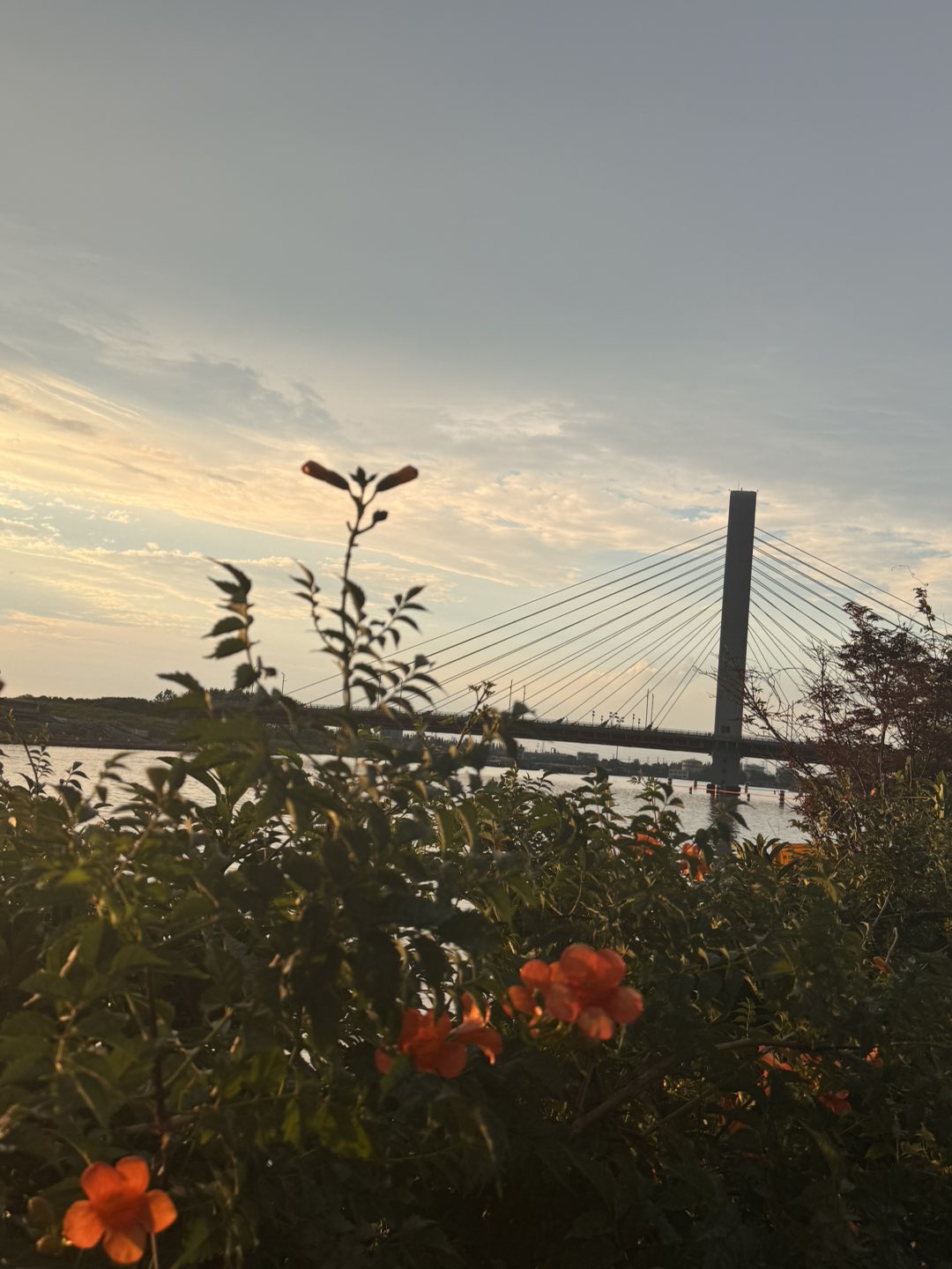 20250628182530front1_0_65525_FiE9njJJZB_95SDvG5MO2Wzer8-S.jpg