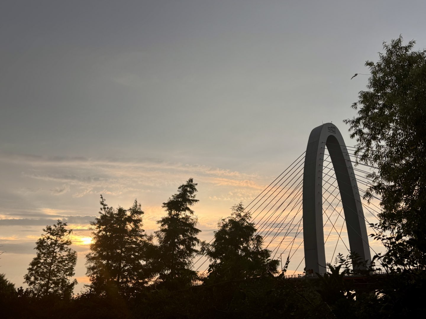 20250628182530front1_0_65525_Fozw6w7FB23ppbSm57qkaAMyMGd7.jpg