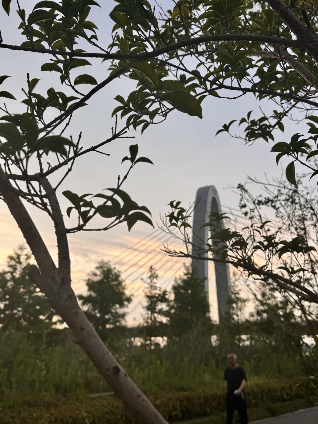 20250628182530front1_0_65525_FvJf968bHnA_Em2SZhQHF3yerfdF.jpg