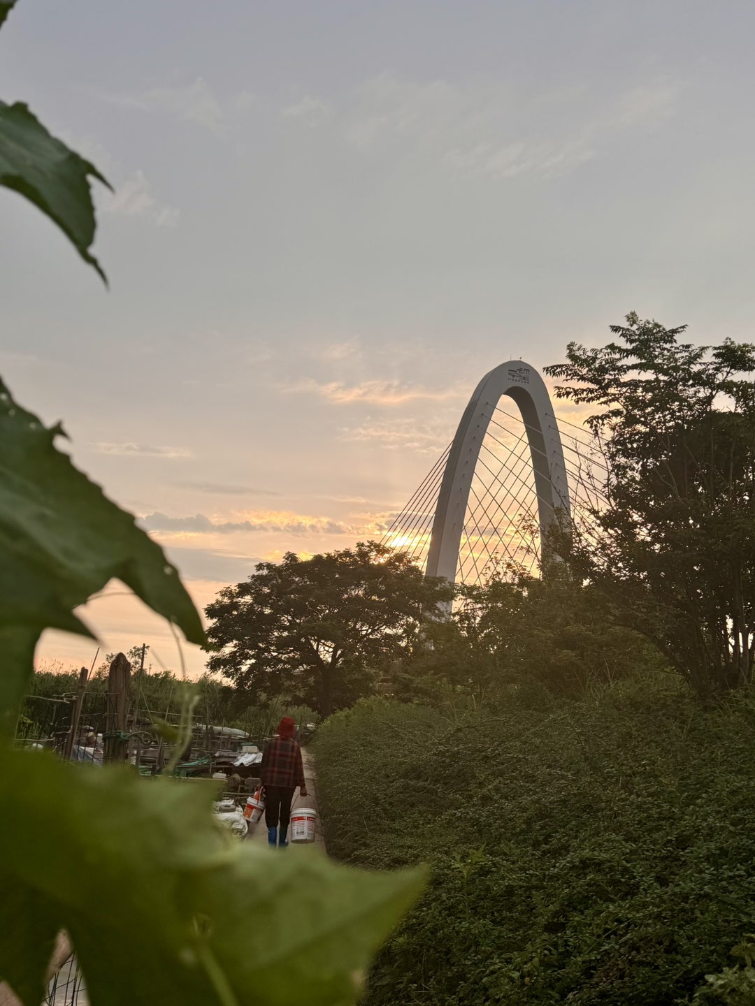 20250628182530front1_0_65525_Fr8KZE7BvdxenovMKP0sLjQ097gM.jpg