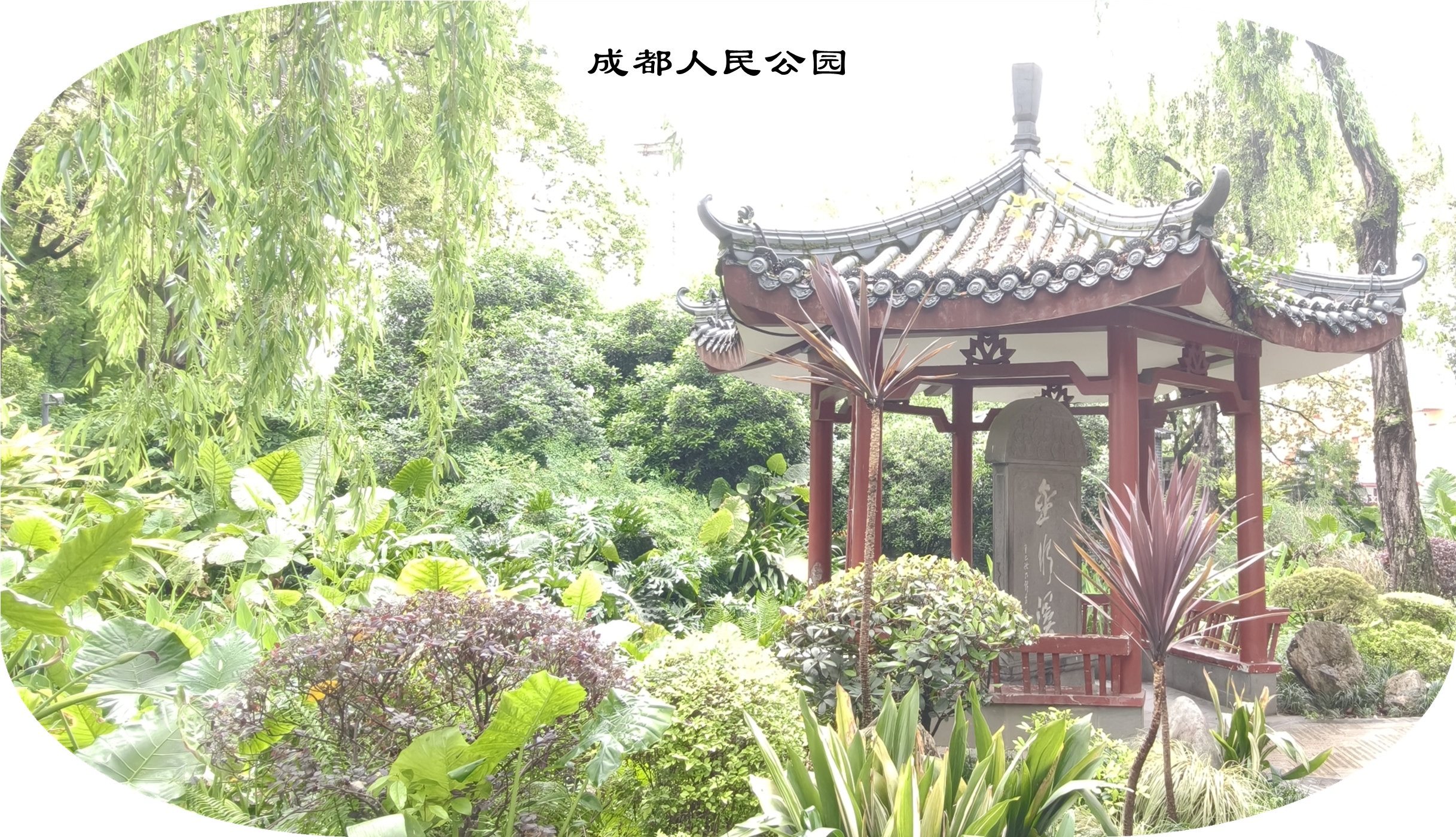 IMG20250429142403.jpg