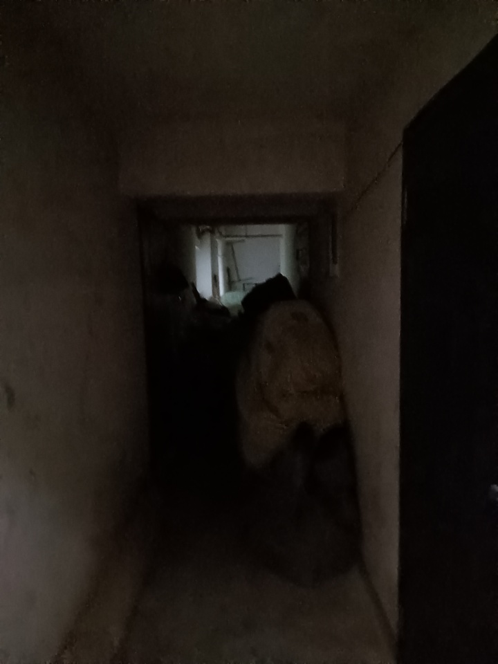 IMG20241101153001.jpg