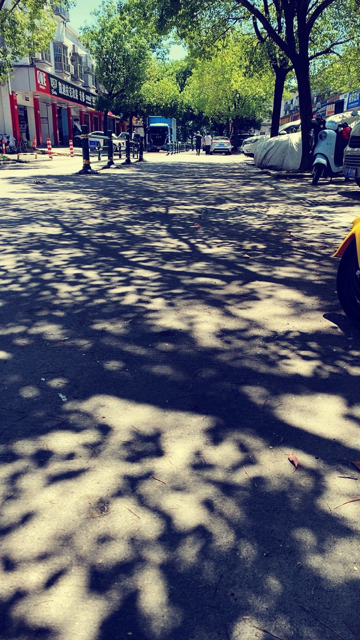 20250701105150front1_0_505225_Frr4-DgyX-RqwHDxbf5gwjkGW9M1.jpg