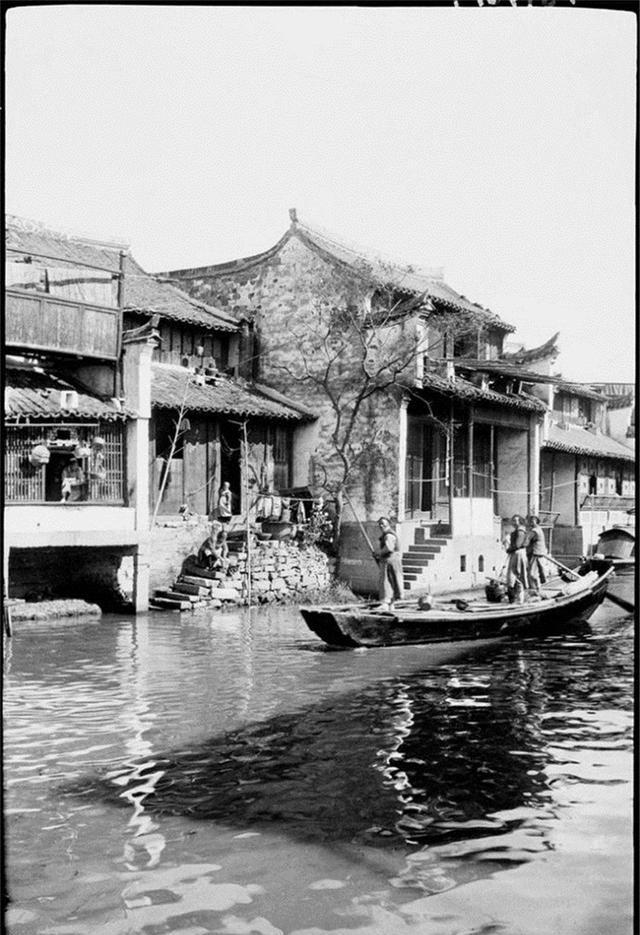 下载 (10).jpg