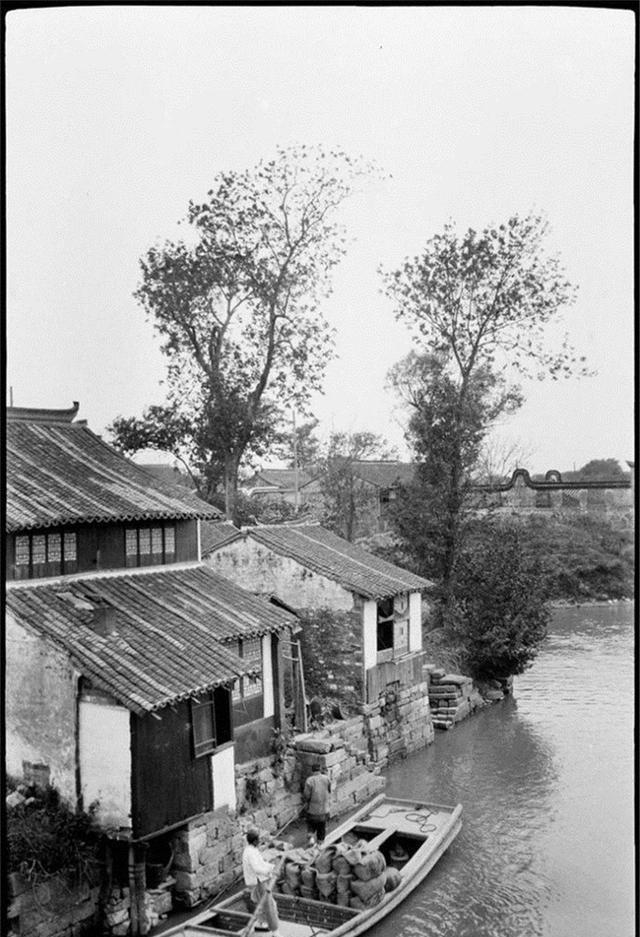 下载 (11).jpg
