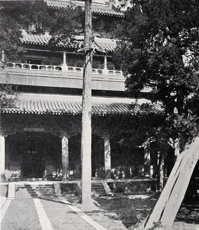 下载 (14).jpg