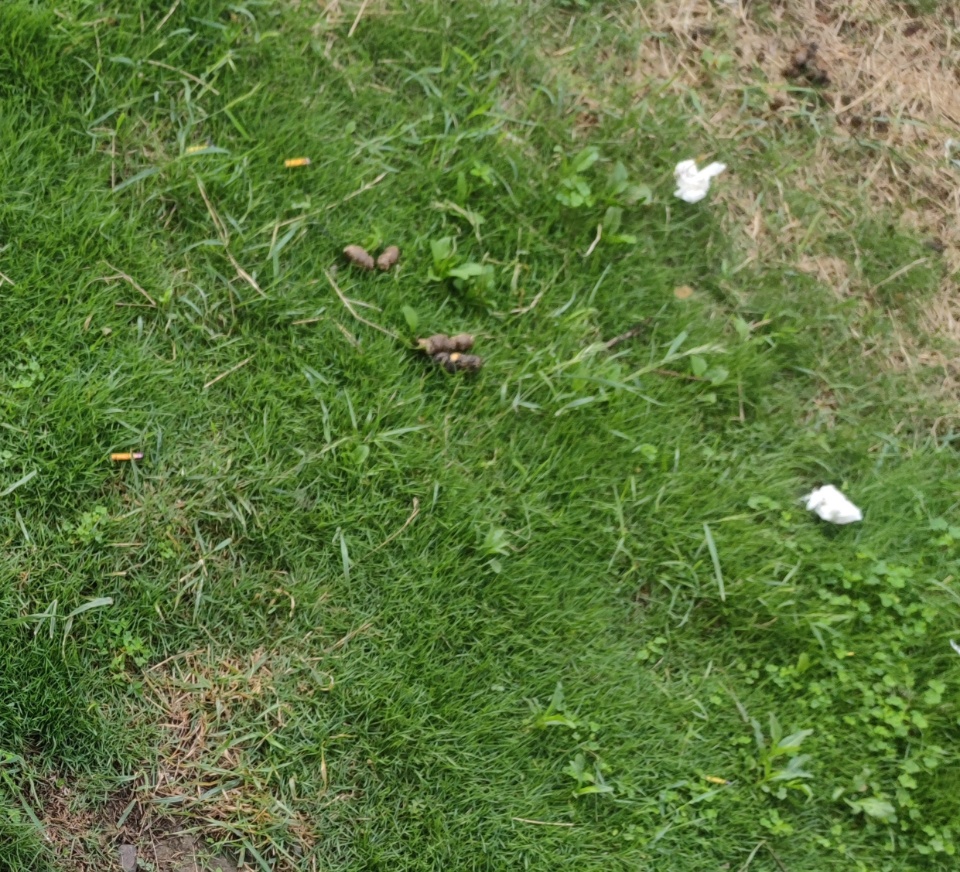 IMG_20250707_101918.jpg