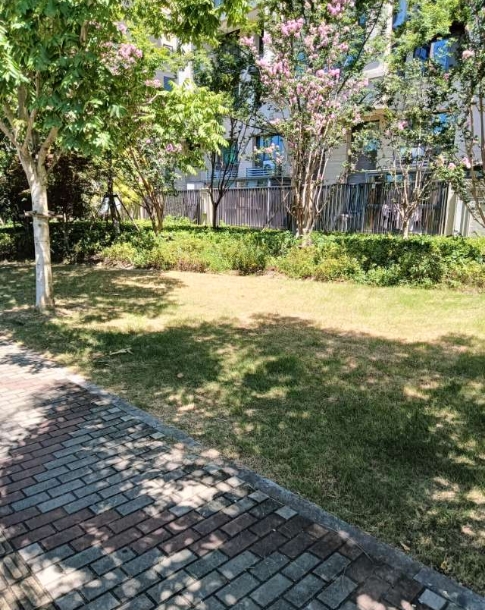 微信截图_20250711142836.png
