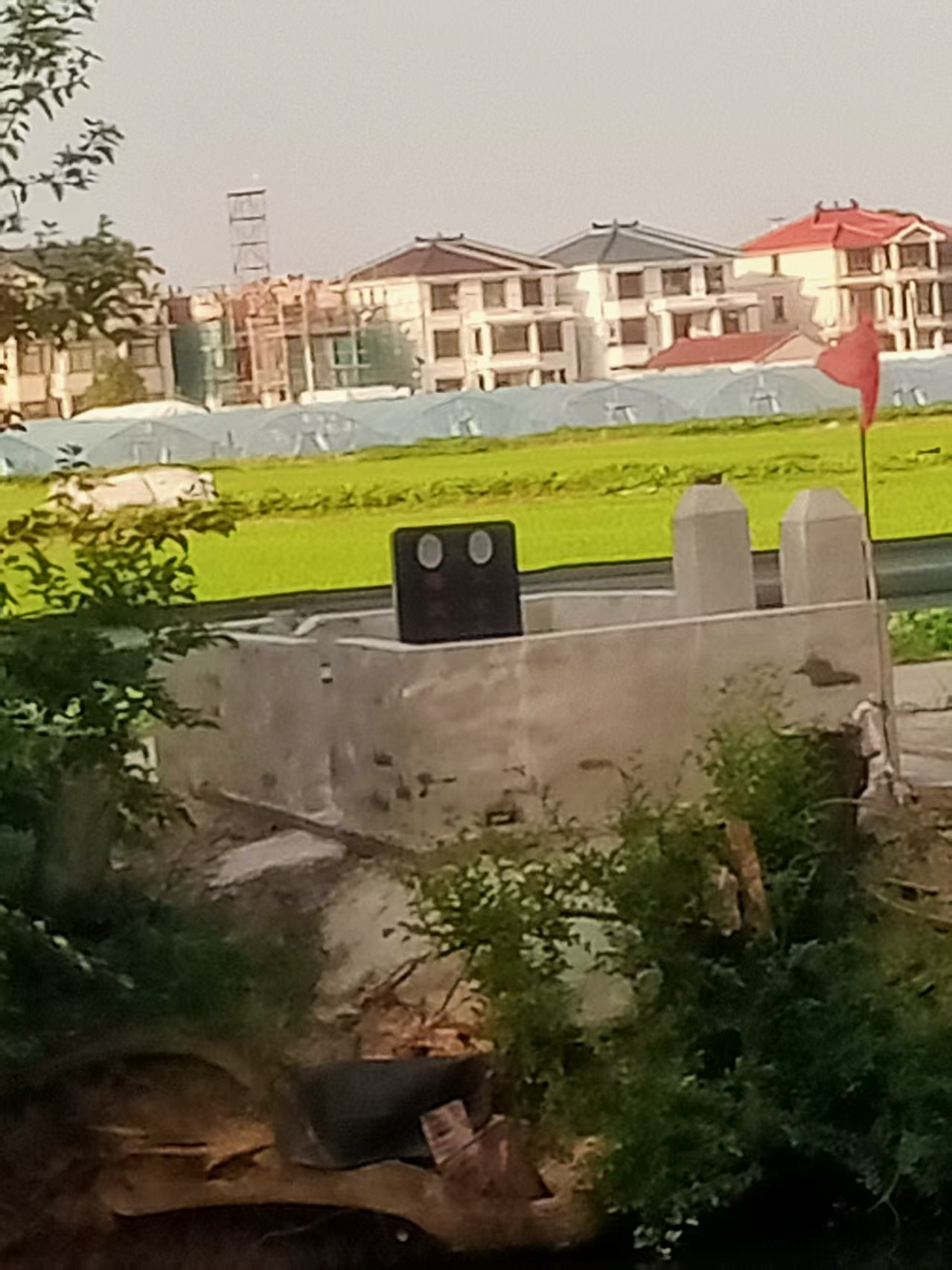 坟墓图片